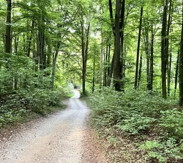 Prodaje se zemljište – u postupku prenamjene u građevinsko!  - cover