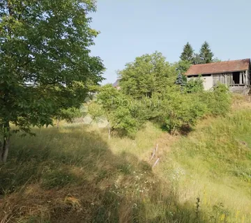Zvečaj, na mirnoj poziciji - cover