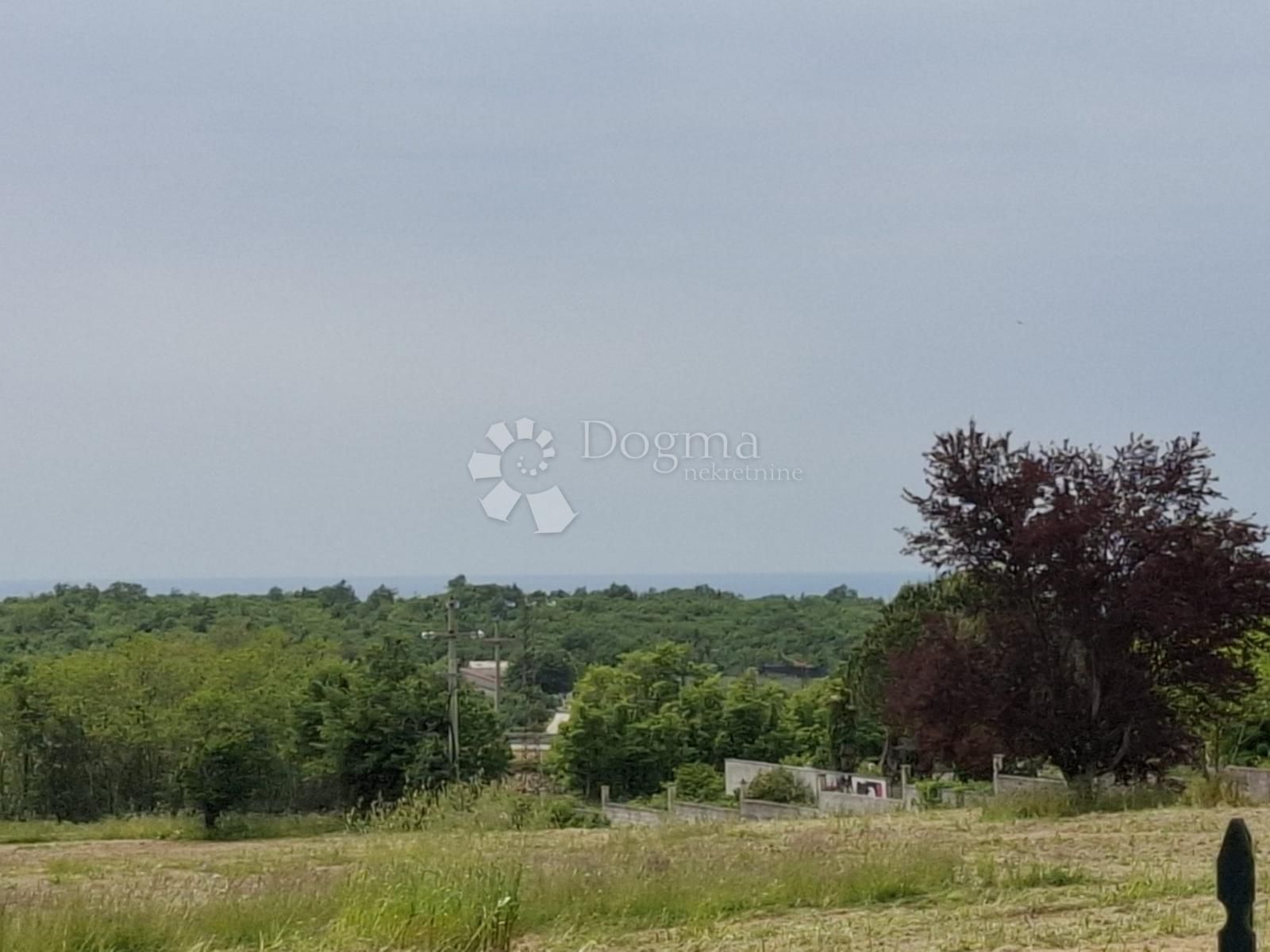 Fotografija