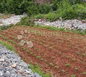 KRAS  - KRK - ZEMLJIŠTE PRILIKA ! - cover