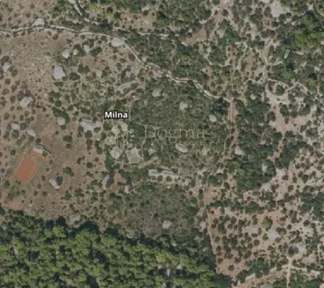 POLJOPRIVREDNO ZEMLJIŠTE MASLINOVIK, MILNA - cover