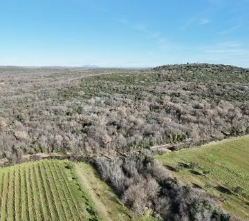 Poljoprivredno zemljište u blizini Bala 6052m2 - cover