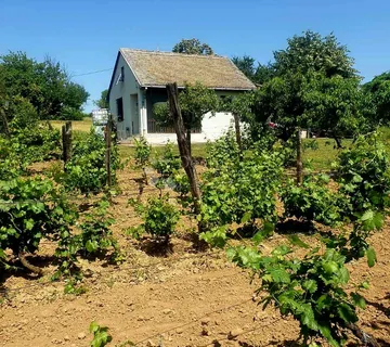 Vikendica u prirodi – idealna za druženje i vinarenje - cover