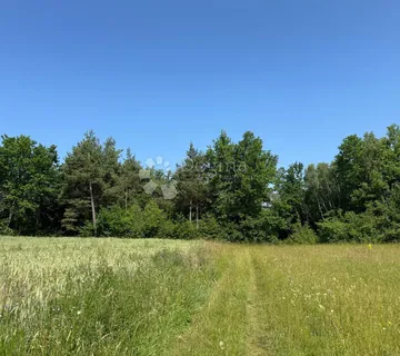 ZEMLJIŠTE U SMILJANSKOM POLJU - cover