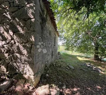 STARINA SA POTENCIJALOM ZA ODLIČAN PRIHOD - cover