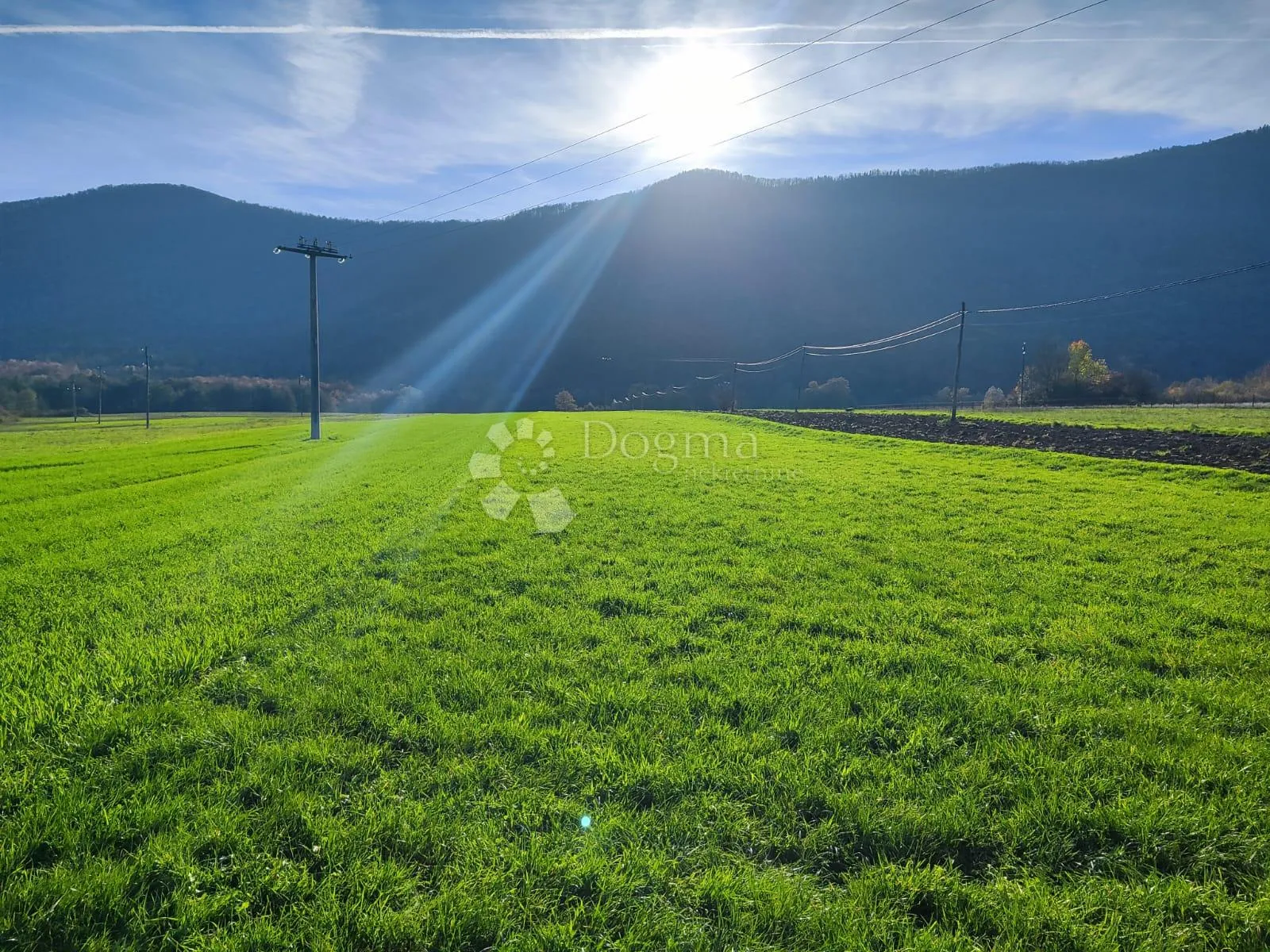Fotografija