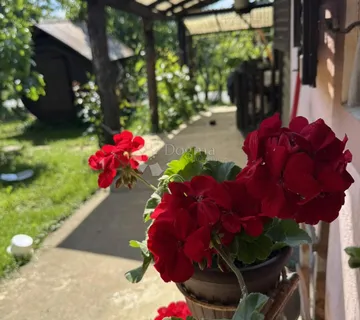 Šarmantno imanje s voćnjakom, Kapela - cover