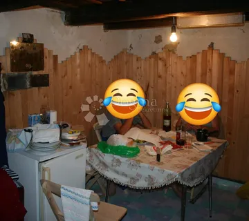 Klet s voćnjakom, vrlo povoljno - cover