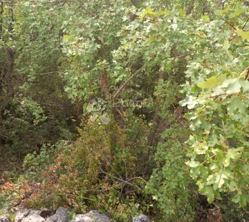 Krk, okolica - cover