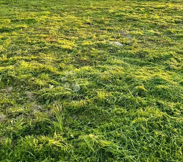 Zemljište spremno za gradnju moderne prizemnice - cover