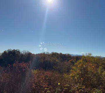 Stoljetna šuma u Natkrižovljanu - cover