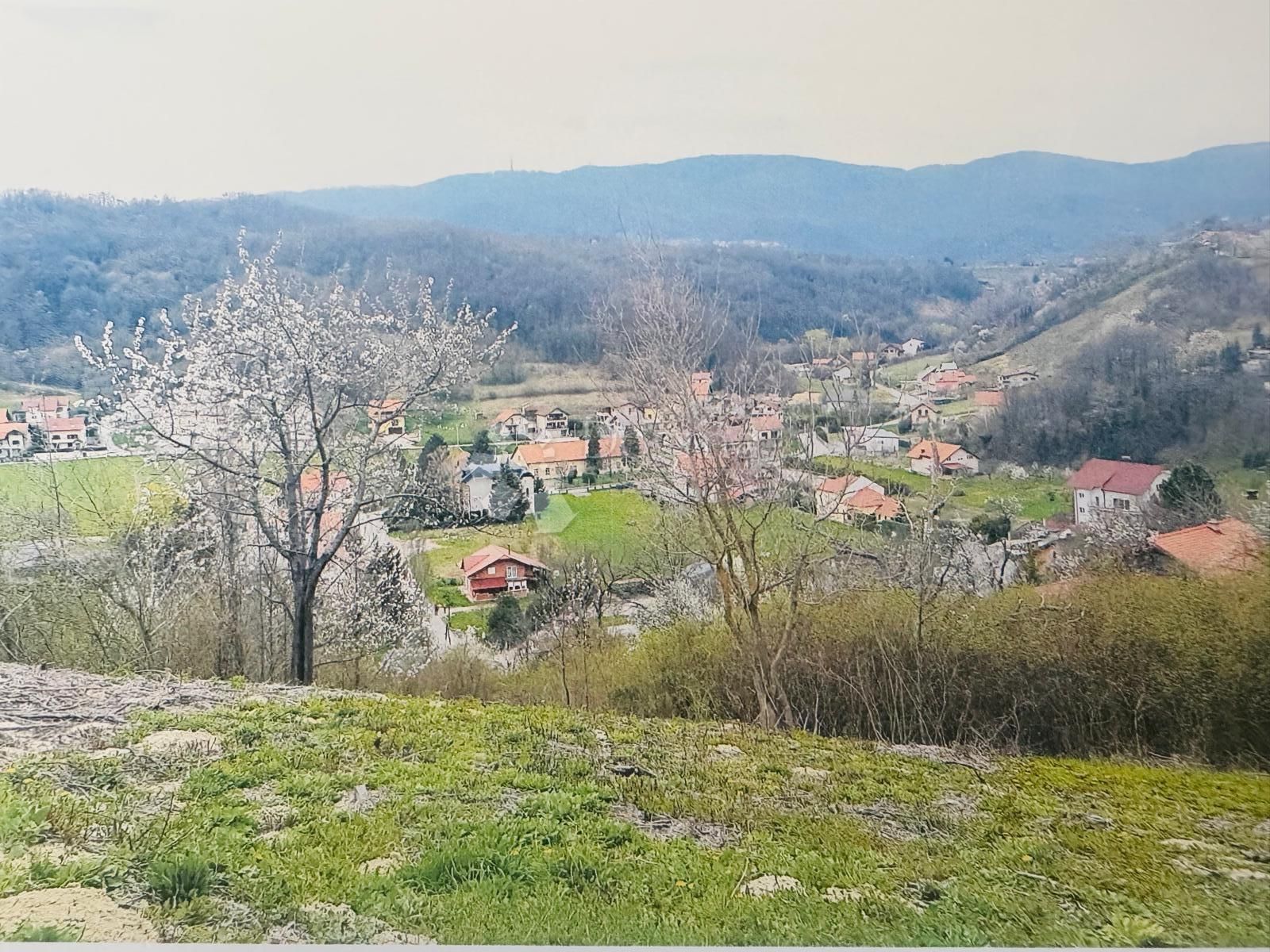 Fotografija