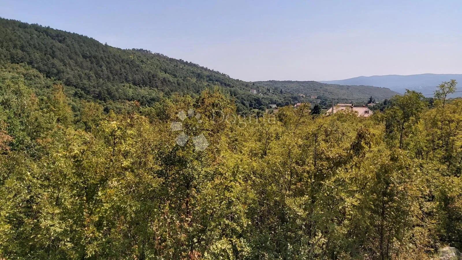 Fotografija
