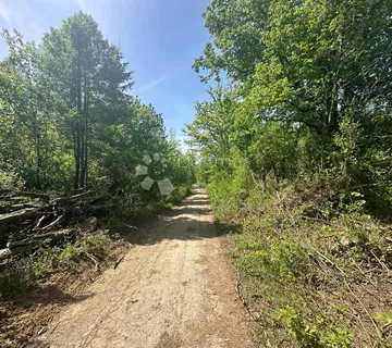 GRAĐEVINSKO ZEMLJIŠTE U DUBINI DIVOSELSKE ŠUME - cover