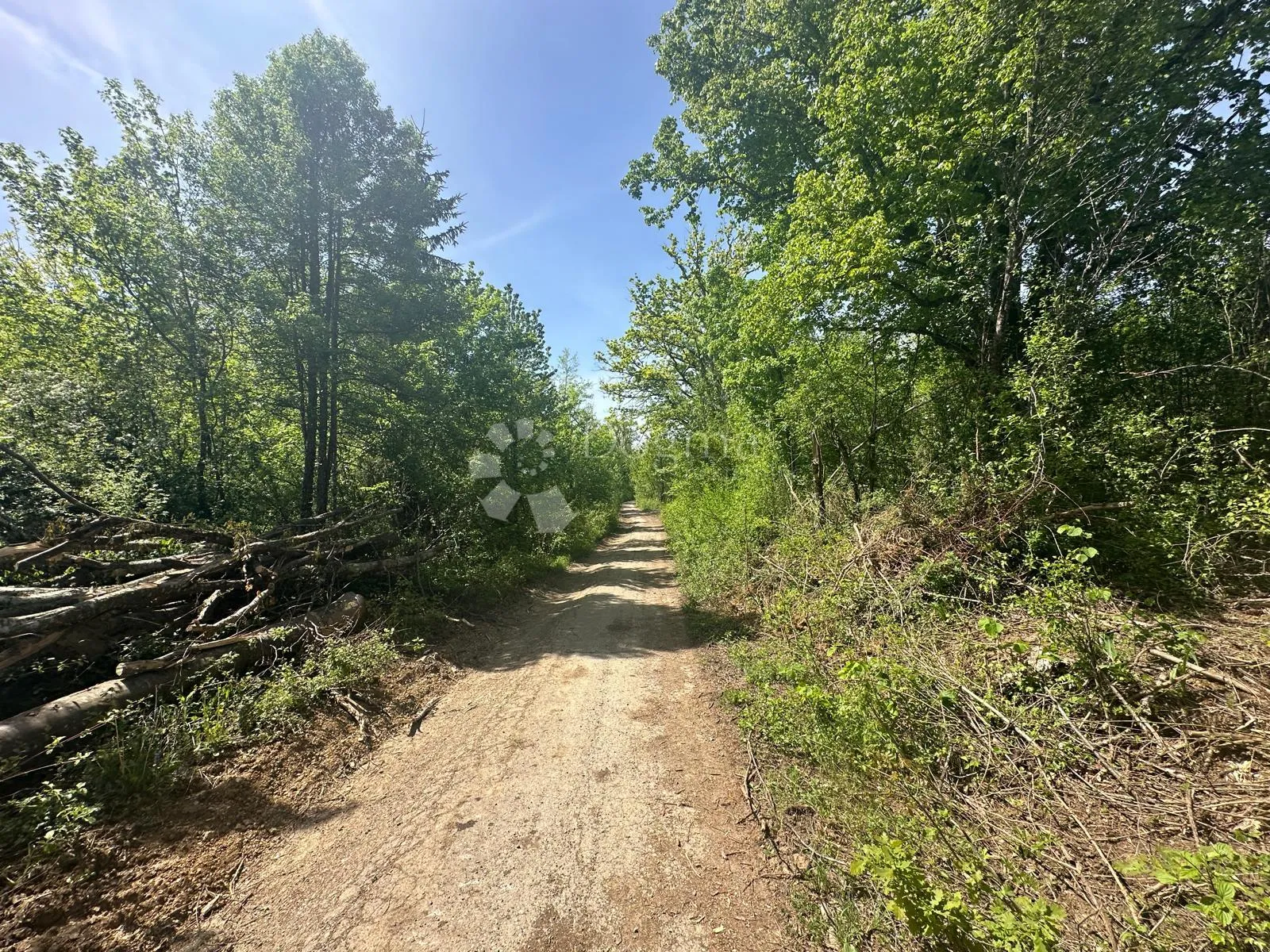 GRAĐEVINSKO ZEMLJIŠTE U DUBINI DIVOSELSKE ŠUME - cover