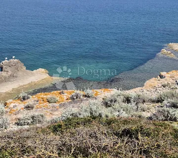 Primošten, maslinik s pogledom na more - cover