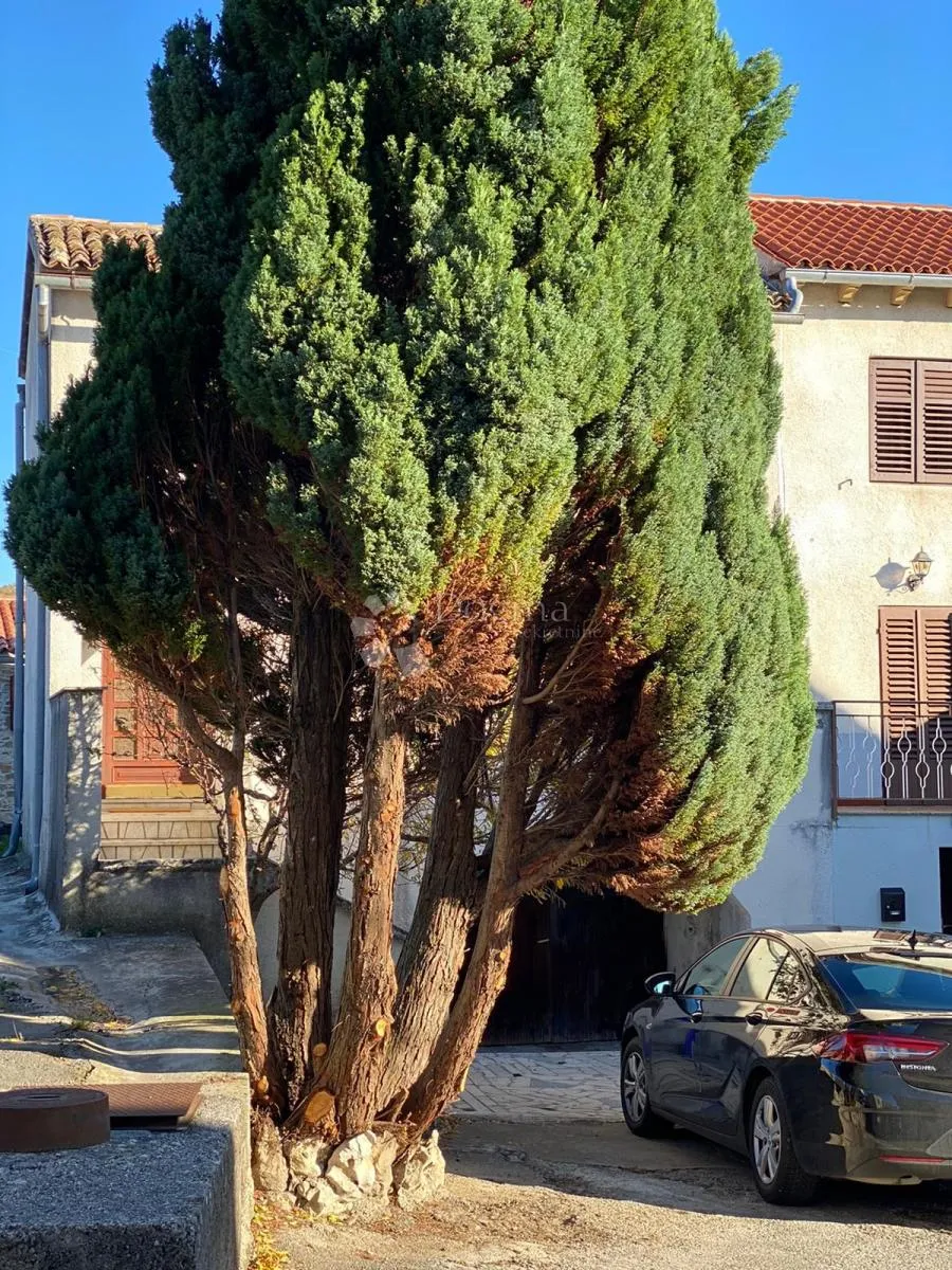 Fotografija