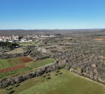 Bale,poljoprivredno zemljište 11.359m2 - cover