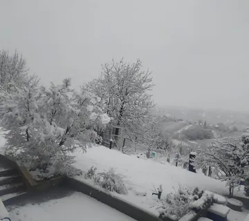 Investicijska prilika! kuća Vlaškovec s okučnicom 21.607 m2 - cover