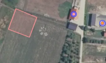 Fotografija