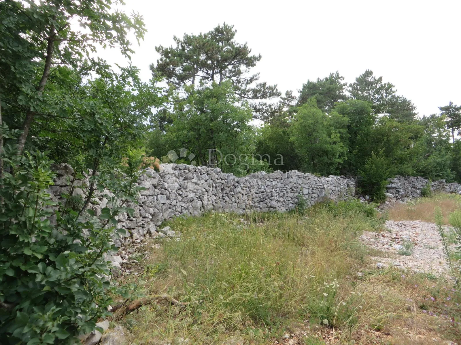 Fotografija