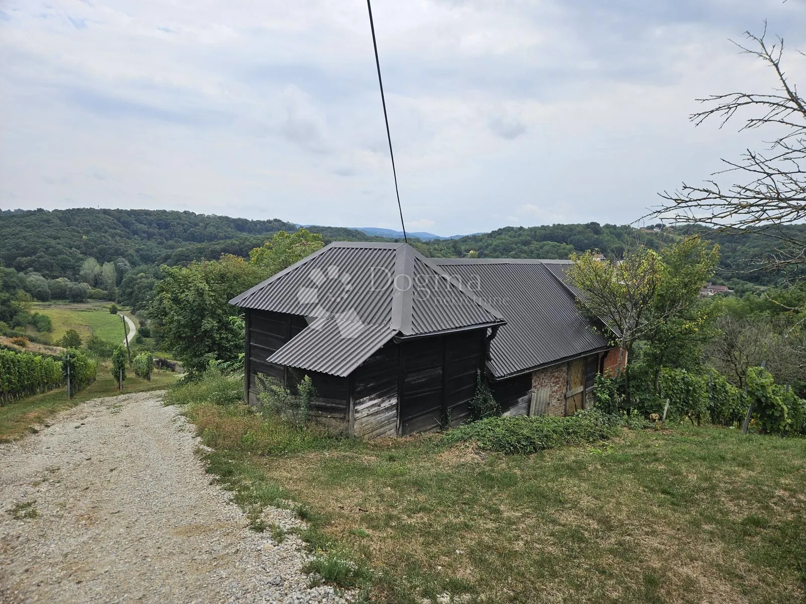 Fotografija