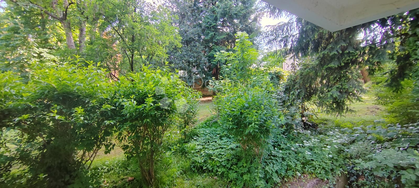 Fotografija