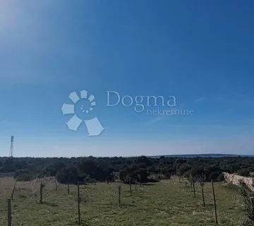 Mandre, Pag - Uređeno poljoprivredno zemljište  - cover