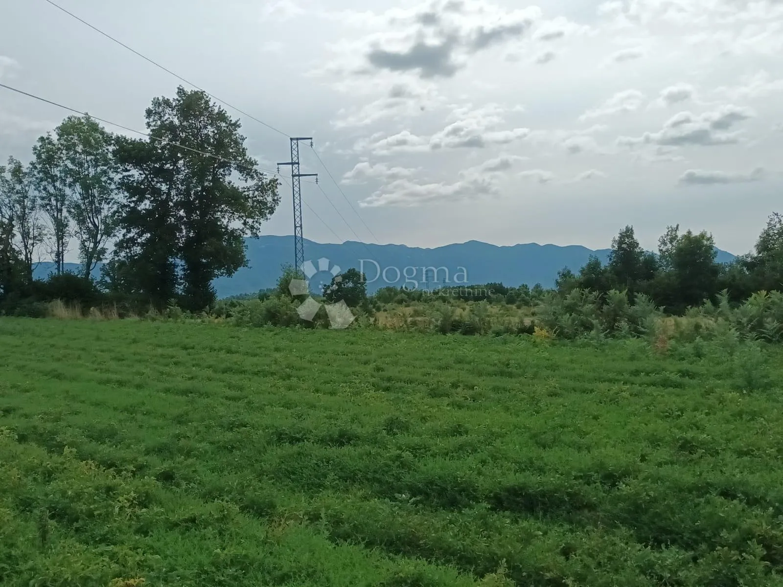 Poljoprivredno zemljište- Žabica - cover