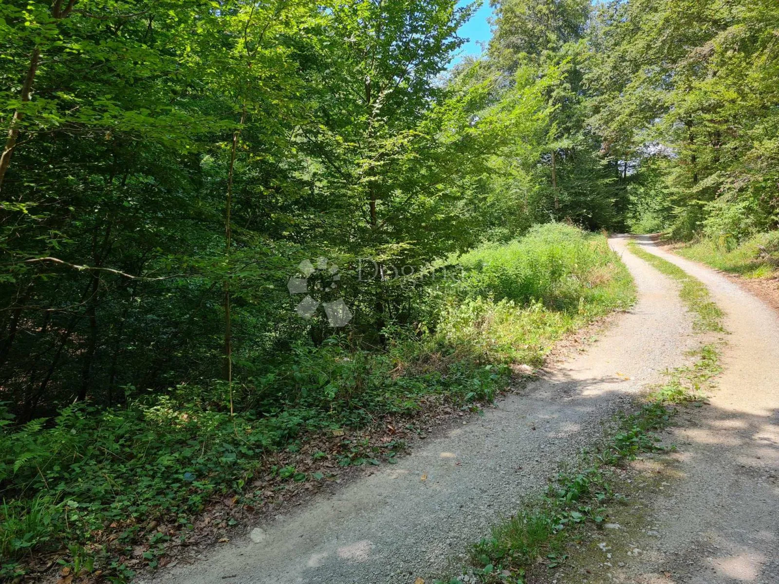 Fotografija