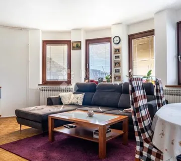 STAN MALEŠNICA - cover