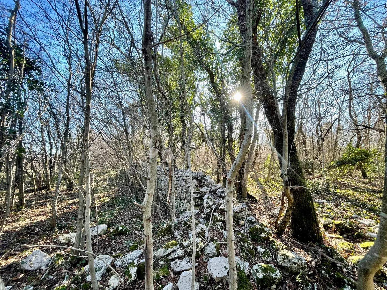 Fotografija