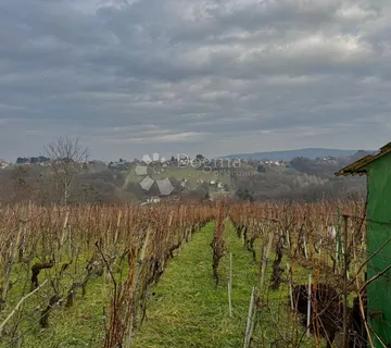 Klet s vinogradom i voćnjakom - 1162m² - cover