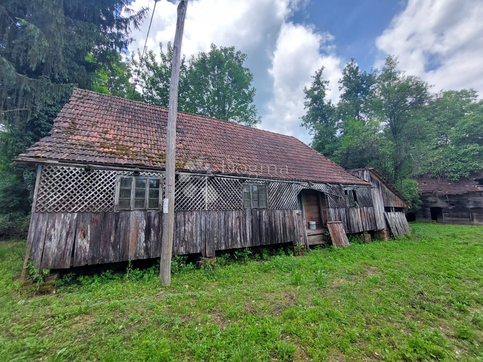 Fotografija