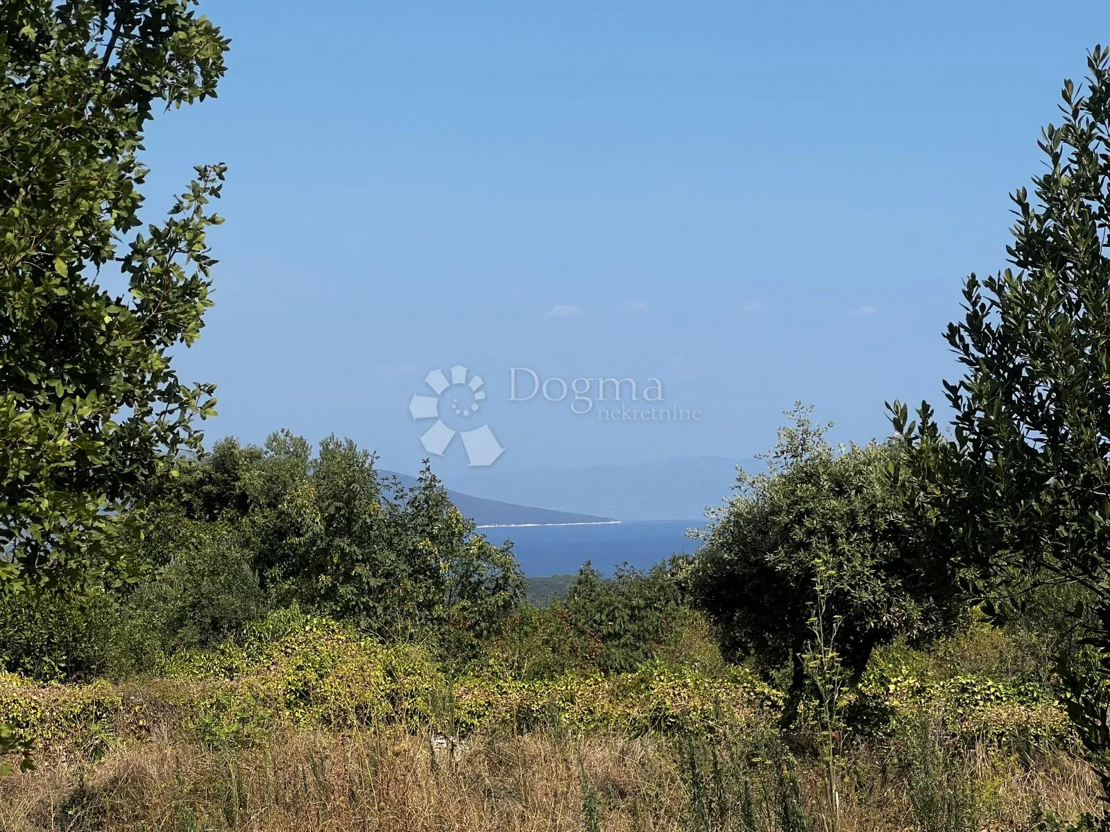 Fotografija