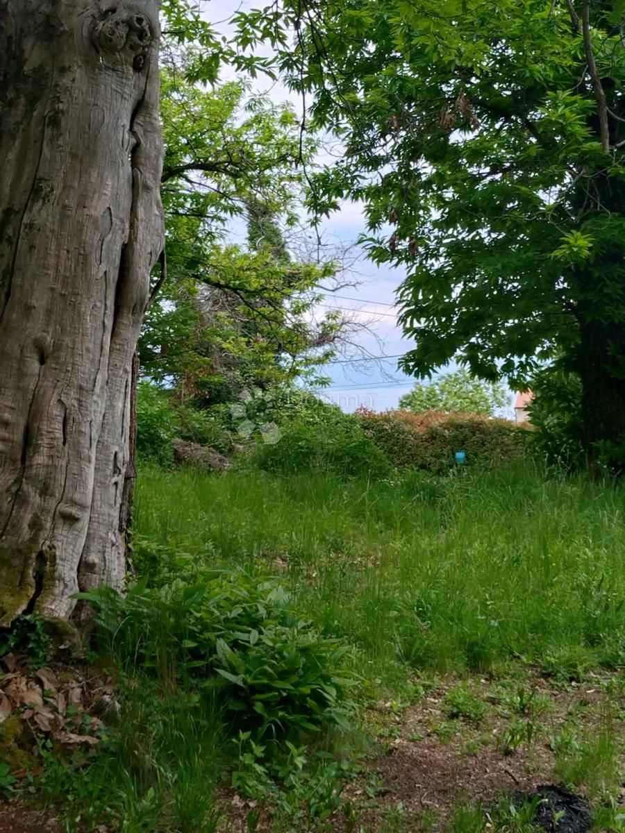 Fotografija