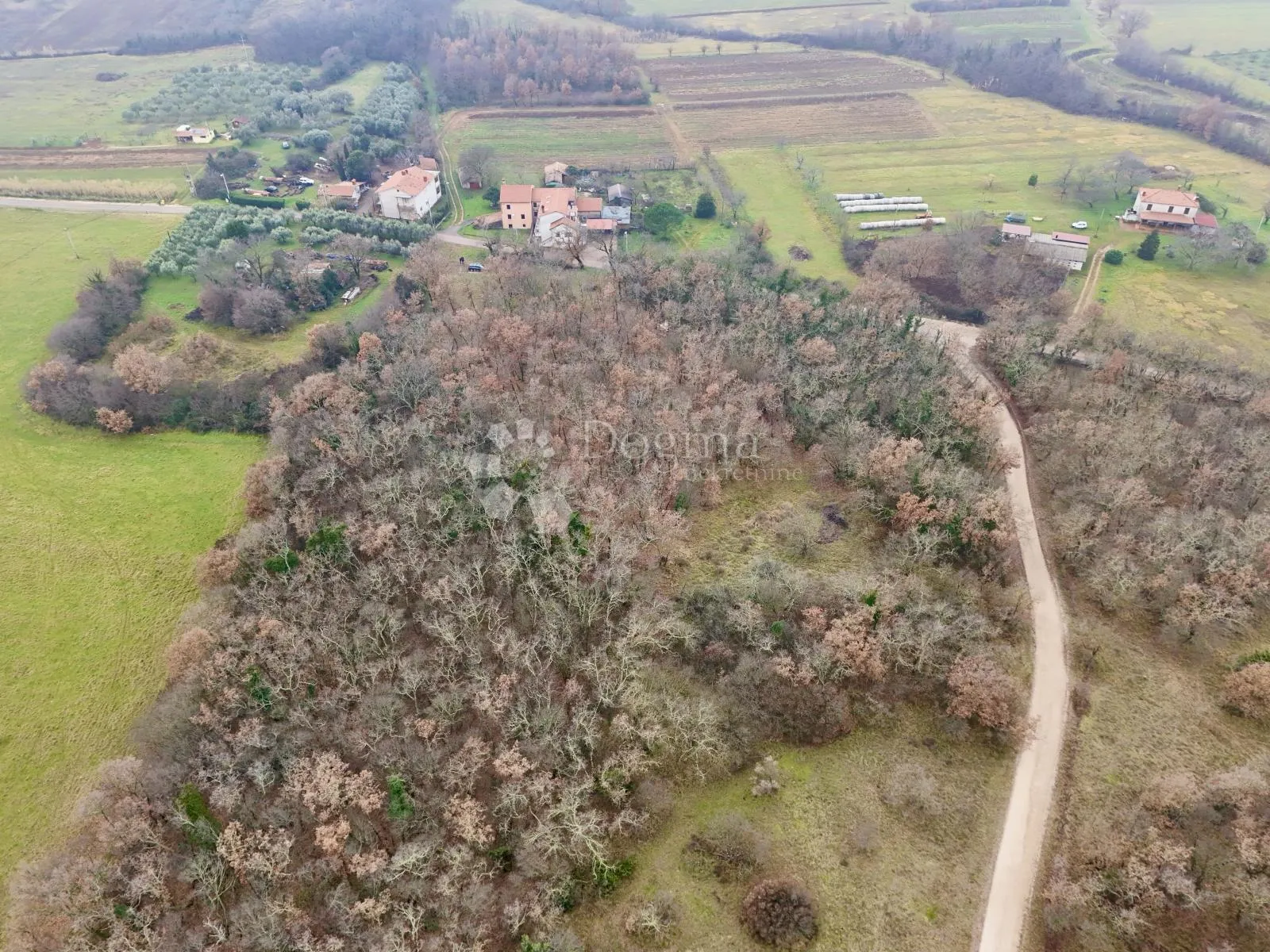 Fotografija