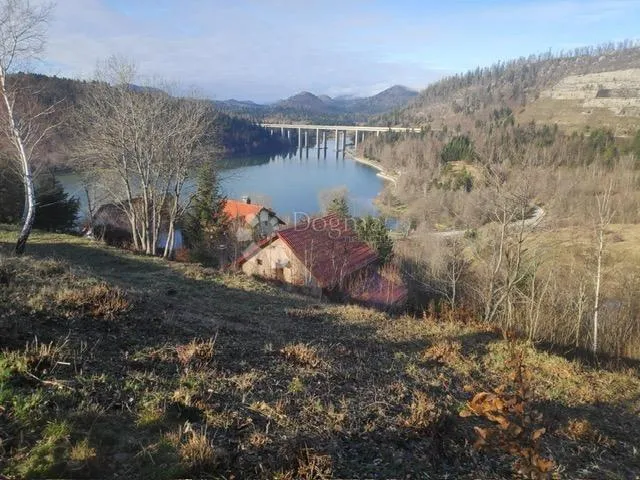 Fotografija