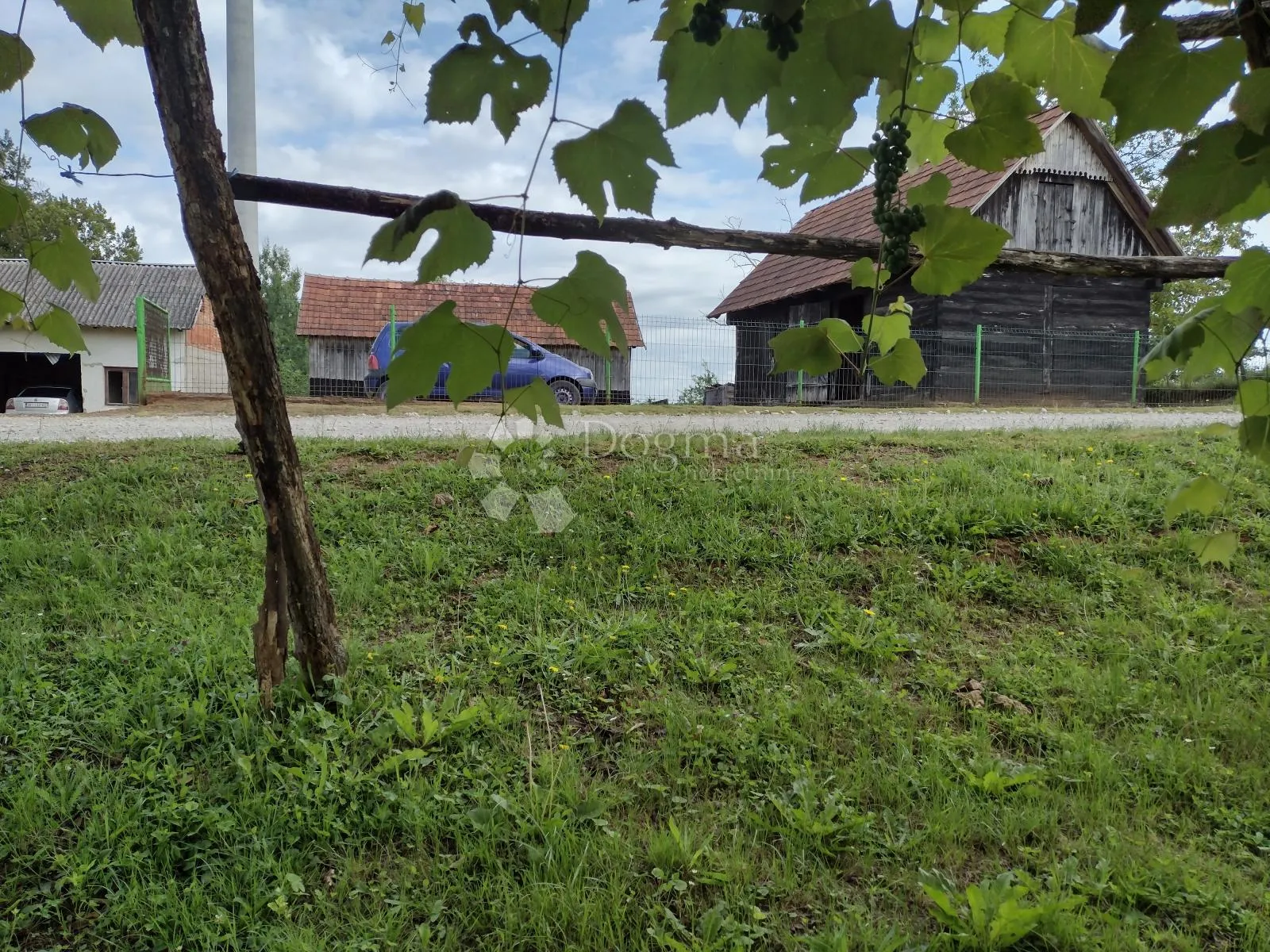 Fotografija