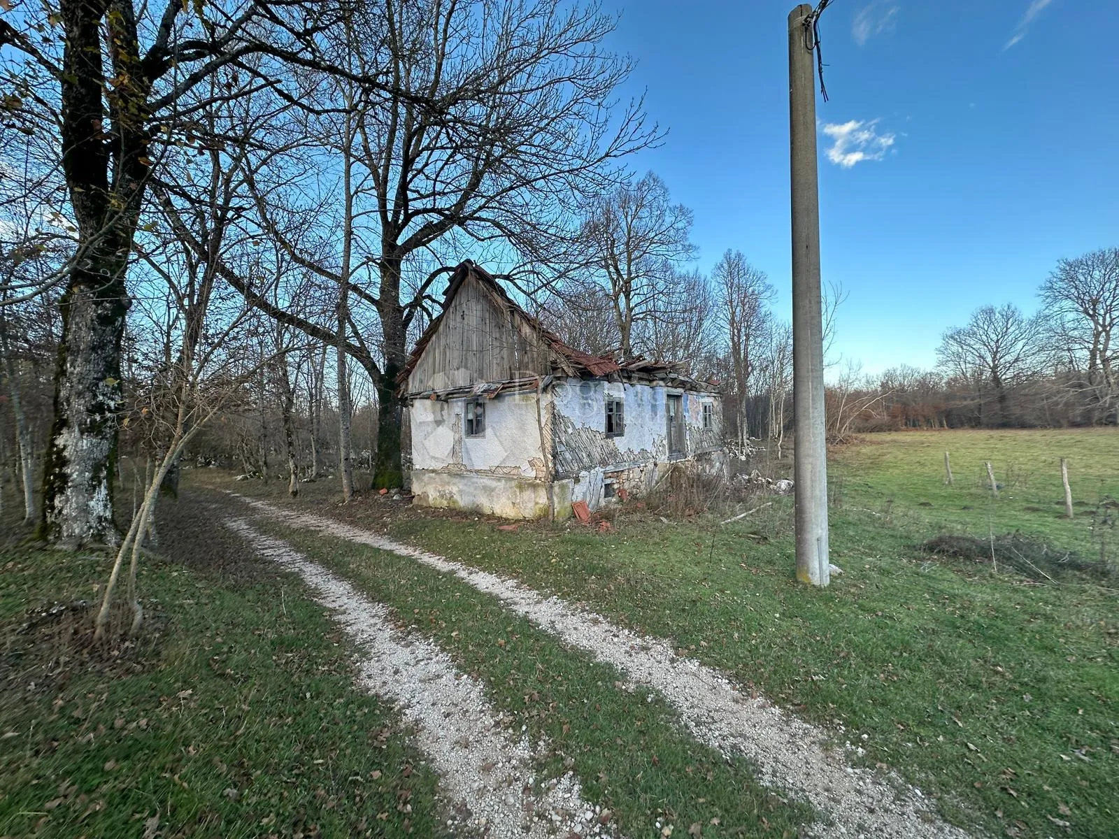 Fotografija