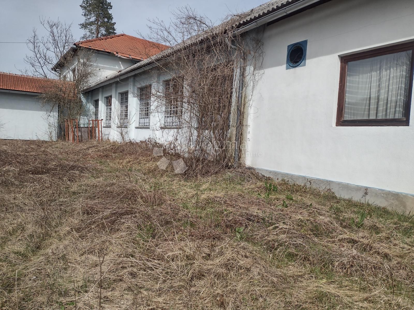 Fotografija