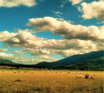 Poljoprivredno zemljište s potencijalom - cover