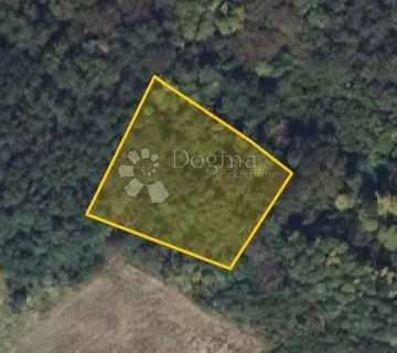 ODLIČNA PRILIKA: šumsko zemljište u Kamencu - cover