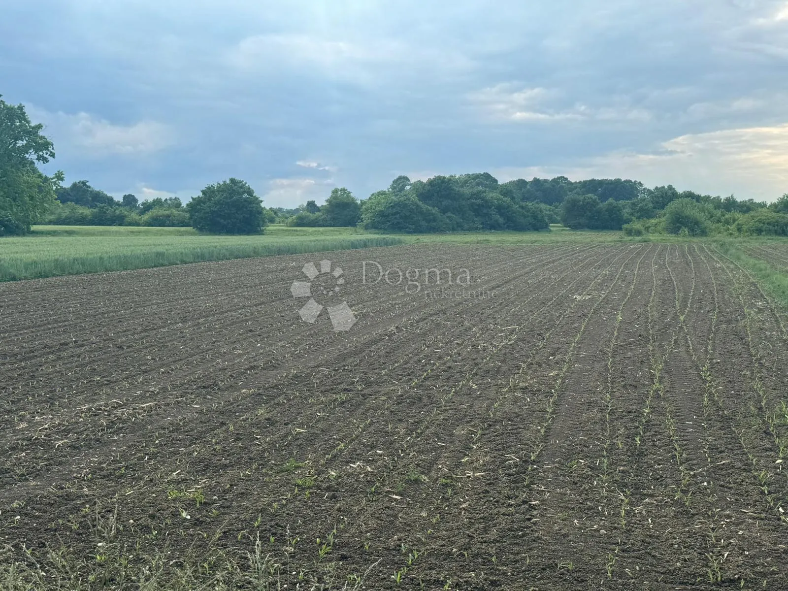 Prodaja Zemljišta u Ščitarjevu, Idealno za Različite Poduzetničke Ideje - cover