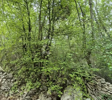 Poljoprivredno zemljište 11.980 m2, 600 m od mora - cover