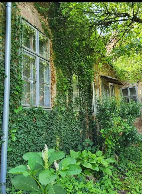 Fotografija