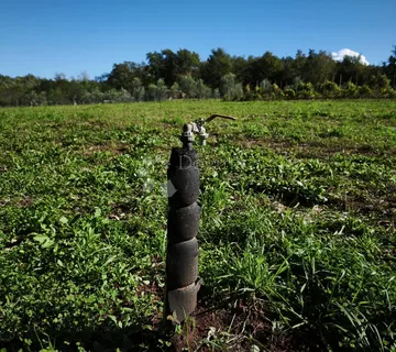 Brtonigla, atraktivno poljoprivredno zemljište - cover