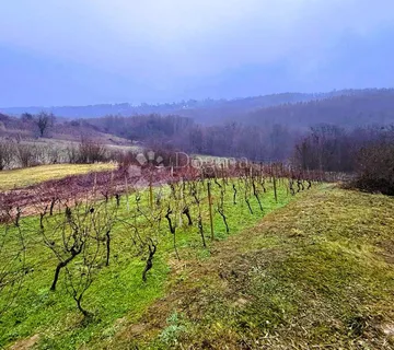 Mali raj među vinogradima - šarmantna klijet s terasom i okućnicom - cover