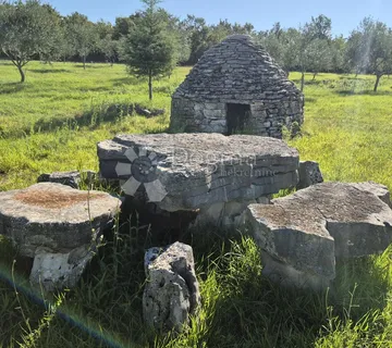 Poljoprivredno zemljište sa istarskim kažunom i maslinama 13979 m2 - cover