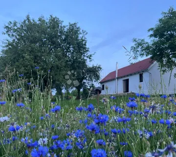 Mir, priroda i razvoj – idealno za turizam! - cover